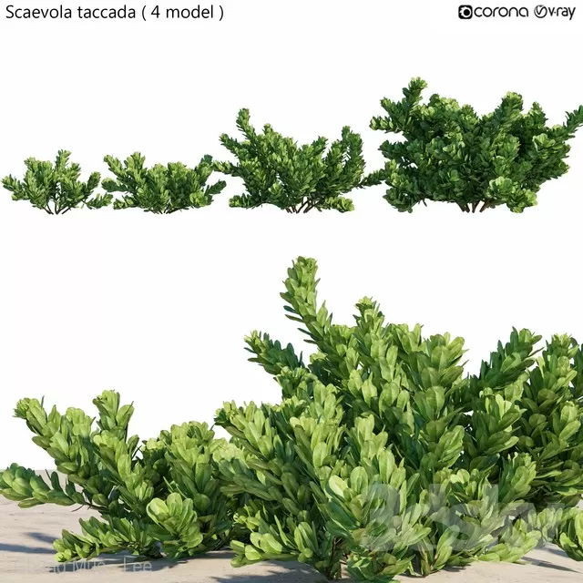 DECOR HELPER – PLANT – EXTERIOR 3D MODELS – 157