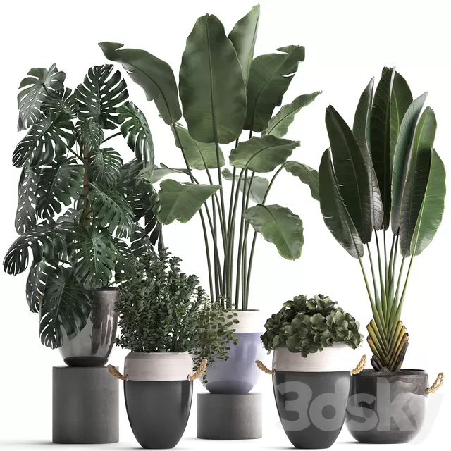 DECOR HELPER – PLANT – EXTERIOR 3D MODELS – 162
