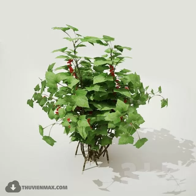 DECOR HELPER – PLANT – EXTERIOR 3D MODELS – 171
