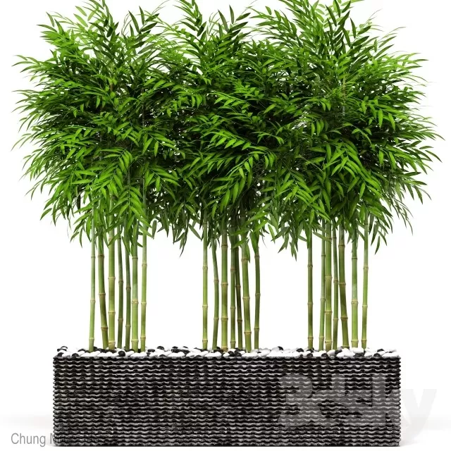 DECOR HELPER – PLANT – EXTERIOR 3D MODELS – 189