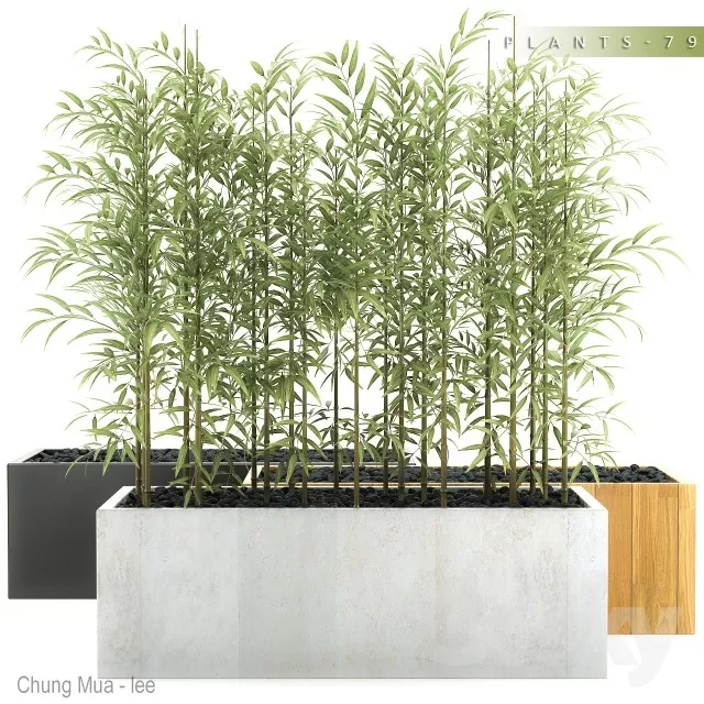 DECOR HELPER – PLANT – EXTERIOR 3D MODELS – 190