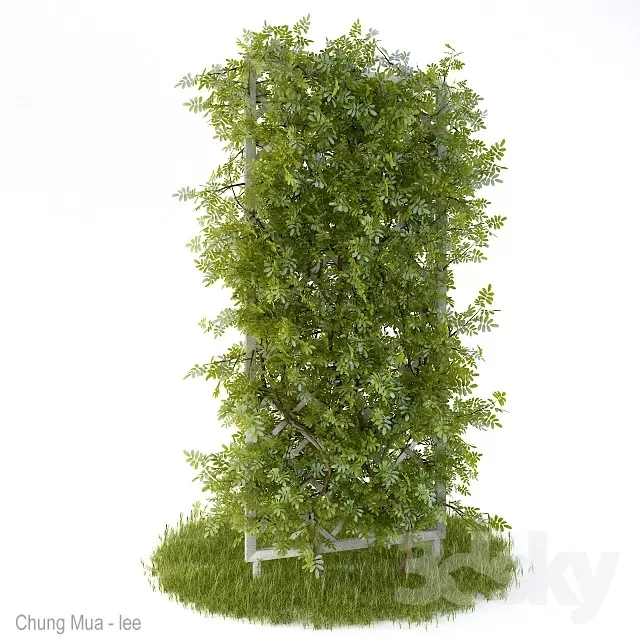 DECOR HELPER – PLANT – EXTERIOR 3D MODELS – 200