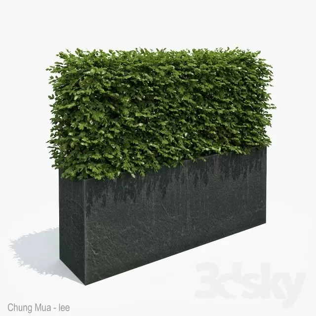 DECOR HELPER – PLANT – EXTERIOR 3D MODELS – 201