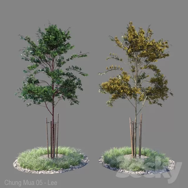 DECOR HELPER – PLANT – EXTERIOR 3D MODELS – 36
