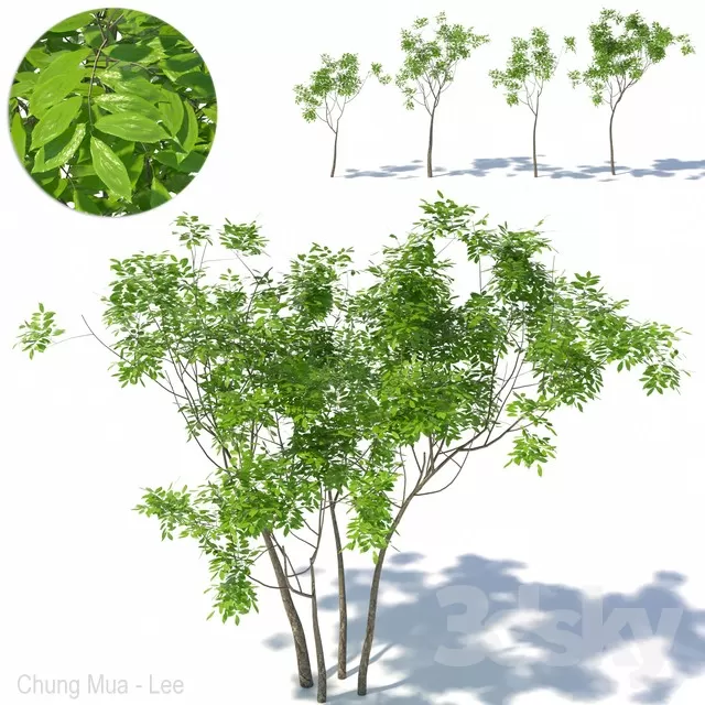 DECOR HELPER – PLANT – EXTERIOR 3D MODELS – 44