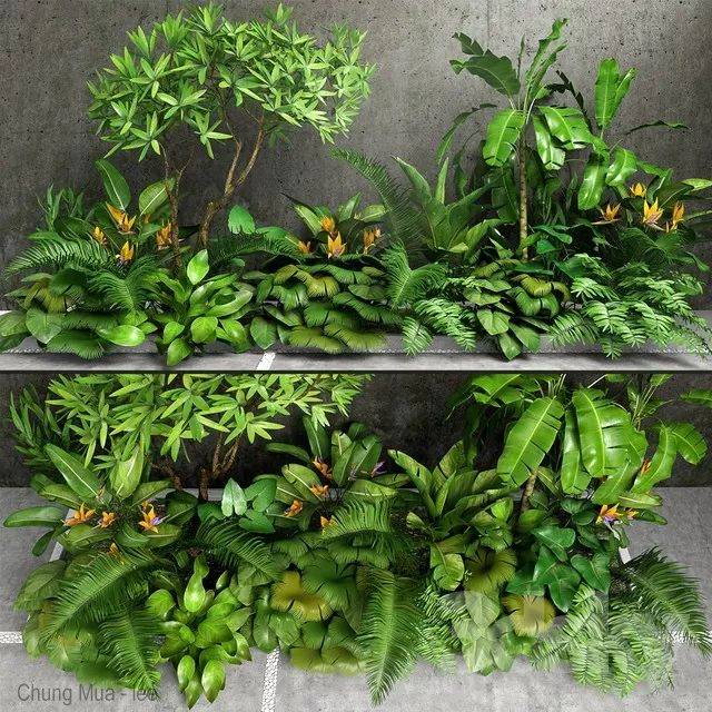 DECOR HELPER – PLANT – EXTERIOR 3D MODELS – 45