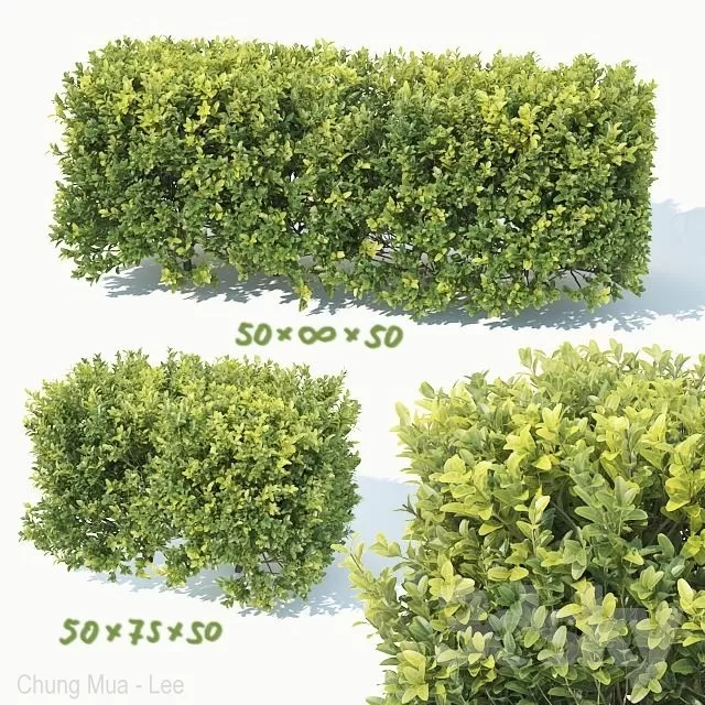 DECOR HELPER – PLANT – EXTERIOR 3D MODELS – 46