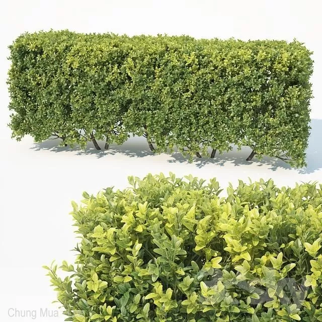 DECOR HELPER – PLANT – EXTERIOR 3D MODELS – 48