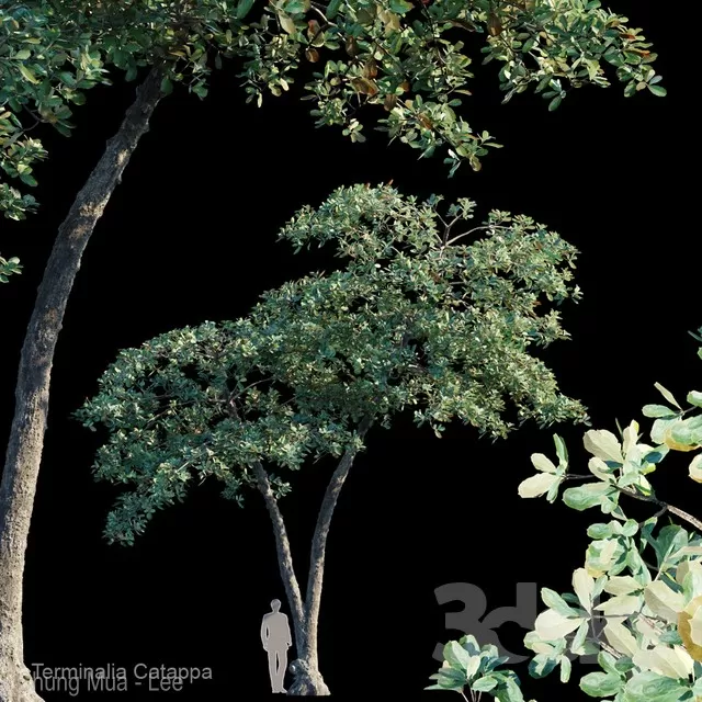 DECOR HELPER – PLANT – EXTERIOR 3D MODELS – 75