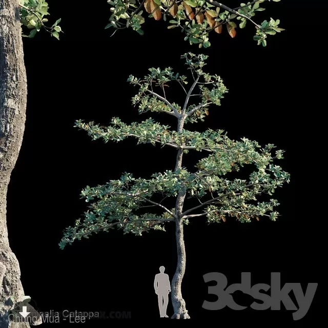 DECOR HELPER – PLANT – EXTERIOR 3D MODELS – 76