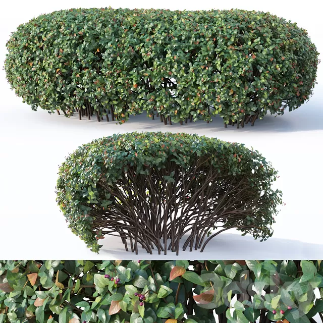 DECOR HELPER – PLANT – EXTERIOR 3D MODELS – 77