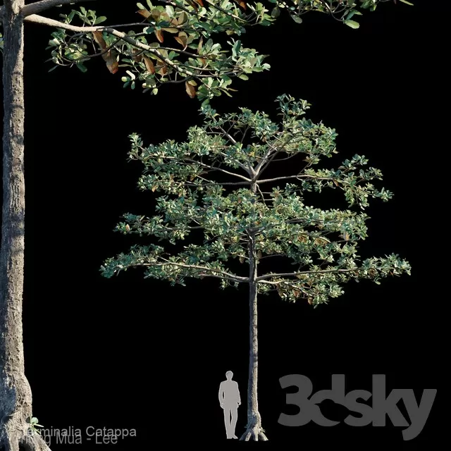 DECOR HELPER – PLANT – EXTERIOR 3D MODELS – 78