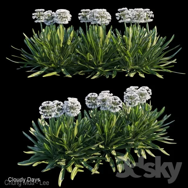 DECOR HELPER – PLANT – EXTERIOR 3D MODELS – 79