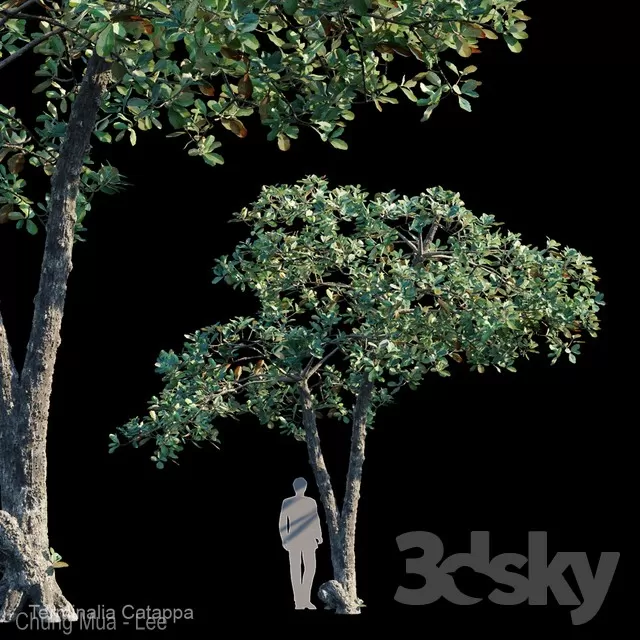 DECOR HELPER – PLANT – EXTERIOR 3D MODELS – 80