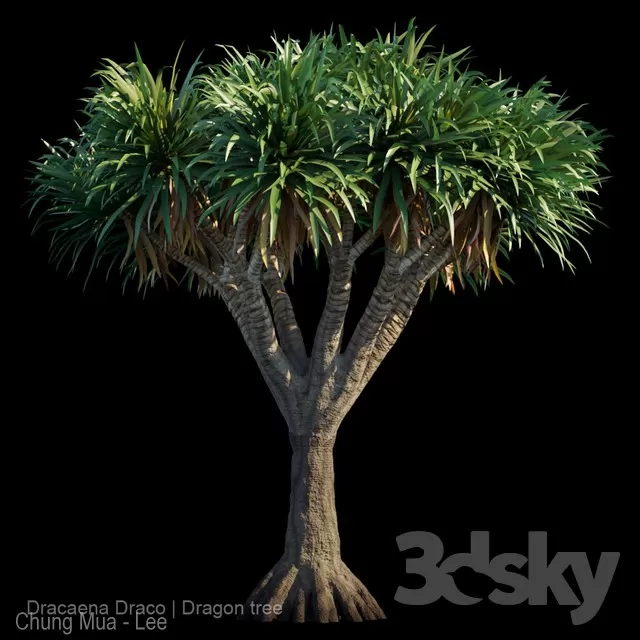 DECOR HELPER – PLANT – EXTERIOR 3D MODELS – 83