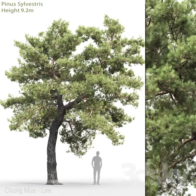 DECOR HELPER – PLANT – EXTERIOR 3D MODELS – 85