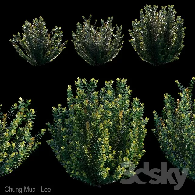 DECOR HELPER – PLANT – EXTERIOR 3D MODELS – 87