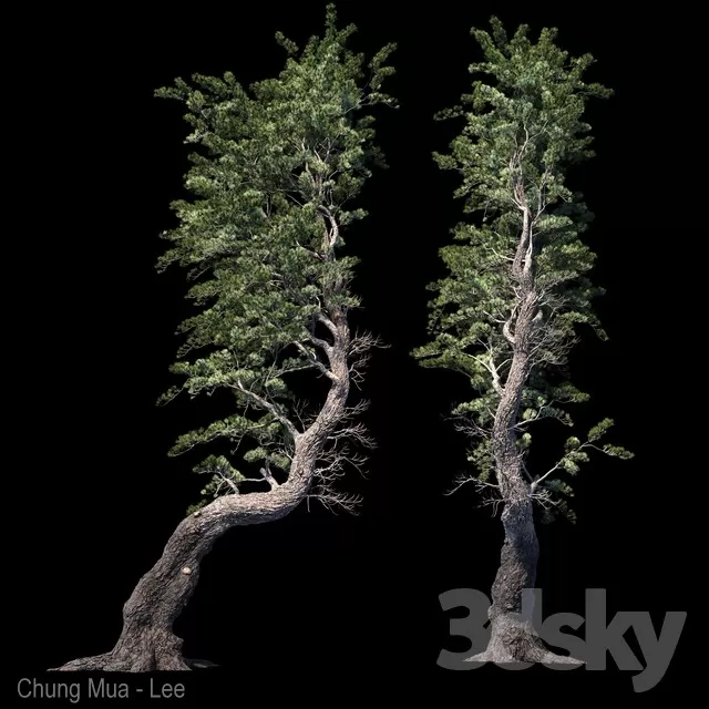 DECOR HELPER – PLANT – EXTERIOR 3D MODELS – 88