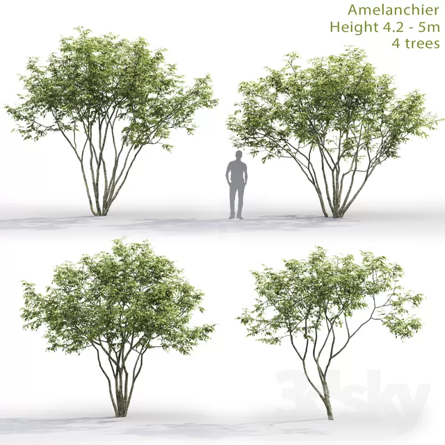 DECOR HELPER – PLANT – EXTERIOR 3D MODELS – 91