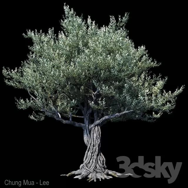 DECOR HELPER – PLANT – EXTERIOR 3D MODELS – 96