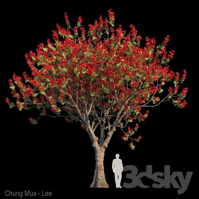 DECOR HELPER – PLANT – EXTERIOR – BIG 3D MODELS – 13