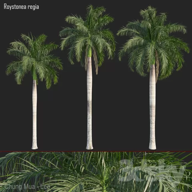 DECOR HELPER – PLANT – EXTERIOR – BIG 3D MODELS – 25