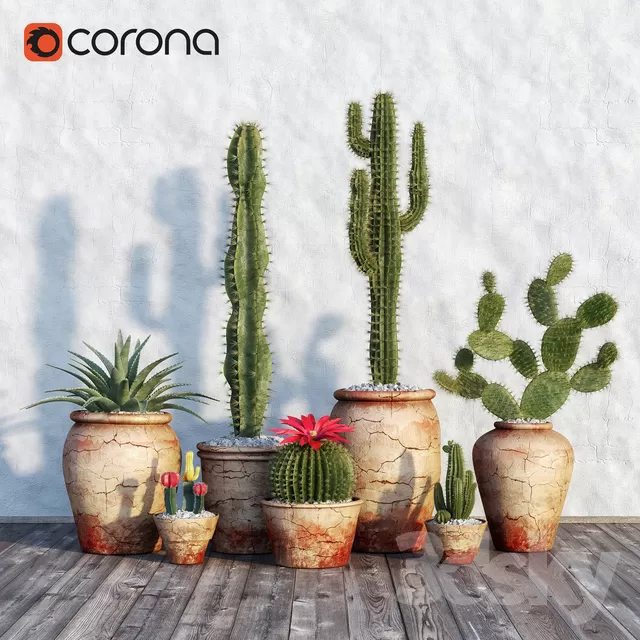 DECOR HELPER – PLANT – FLOOR 3D MODELS – 11