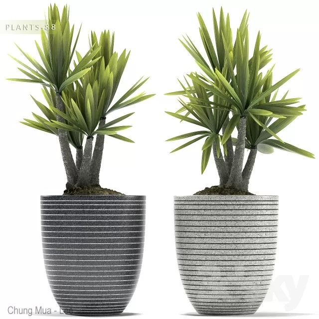 DECOR HELPER – PLANT – FLOOR 3D MODELS – 102