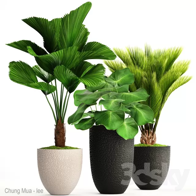 DECOR HELPER – PLANT – FLOOR 3D MODELS – 111
