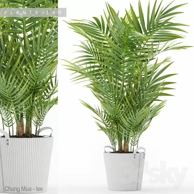 DECOR HELPER – PLANT – FLOOR 3D MODELS – 114