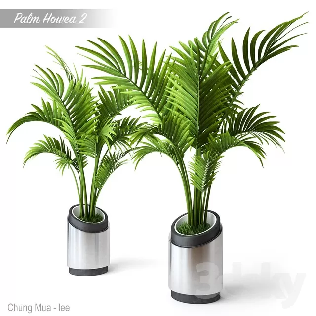 DECOR HELPER – PLANT – FLOOR 3D MODELS – 126