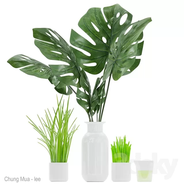 DECOR HELPER – PLANT – FLOOR 3D MODELS – 129
