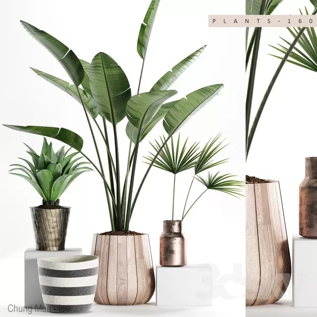 DECOR HELPER – PLANT – FLOOR 3D MODELS – 137