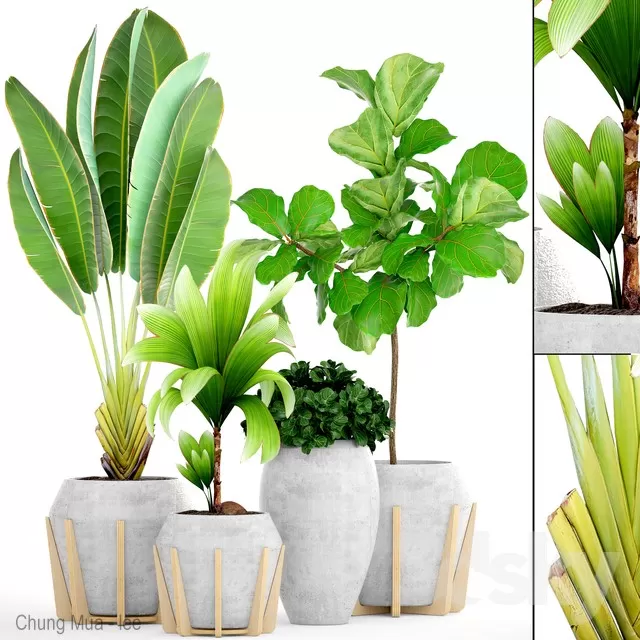 DECOR HELPER – PLANT – FLOOR 3D MODELS – 143