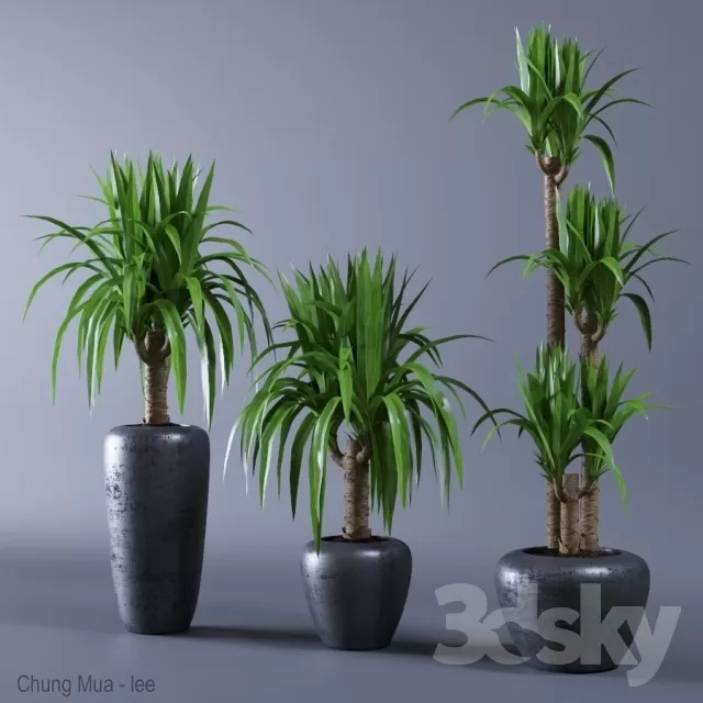 DECOR HELPER – PLANT – FLOOR 3D MODELS – 148
