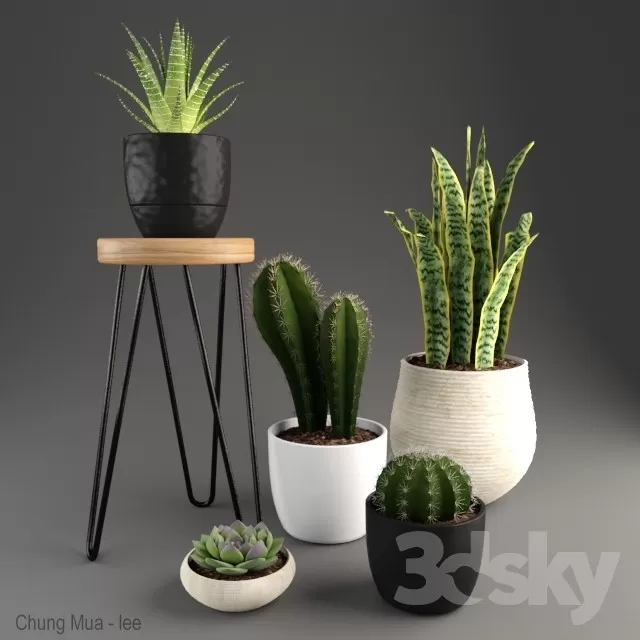 DECOR HELPER – PLANT – FLOOR 3D MODELS – 154