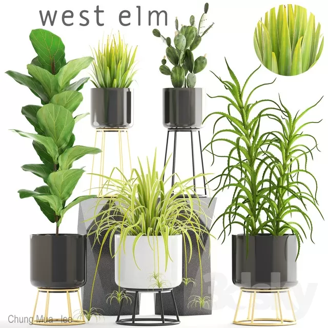 DECOR HELPER – PLANT – FLOOR 3D MODELS – 156