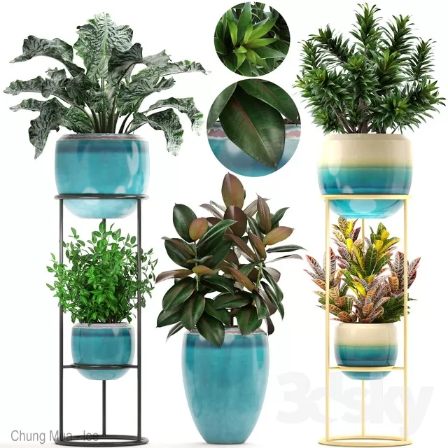 DECOR HELPER – PLANT – FLOOR 3D MODELS – 177