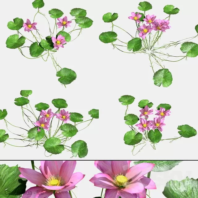 DECOR HELPER – PLANT – FLOOR 3D MODELS – 188