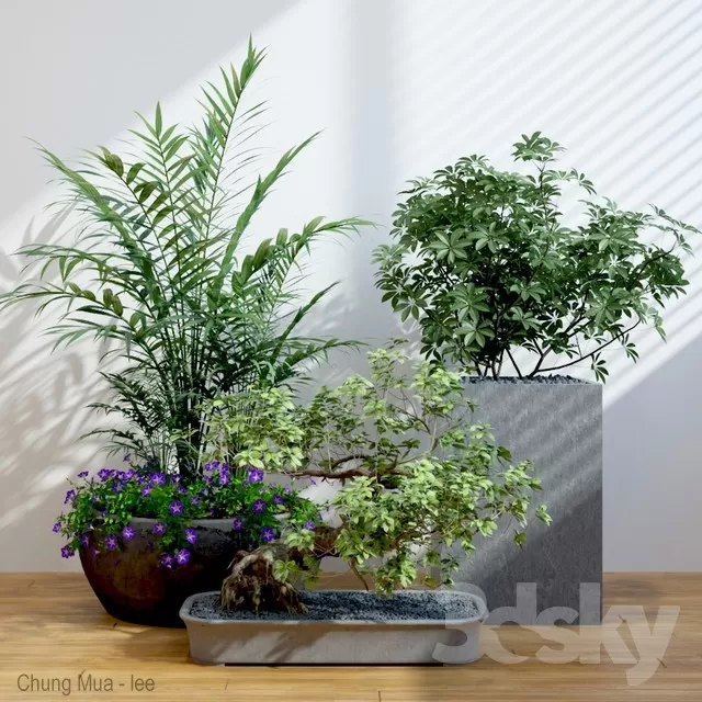 DECOR HELPER – PLANT – FLOOR 3D MODELS – 190