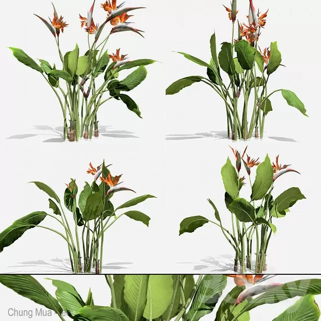 DECOR HELPER – PLANT – FLOOR 3D MODELS – 191