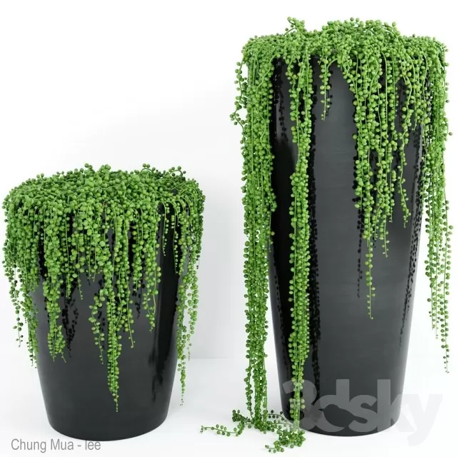 DECOR HELPER – PLANT – FLOOR 3D MODELS – 195