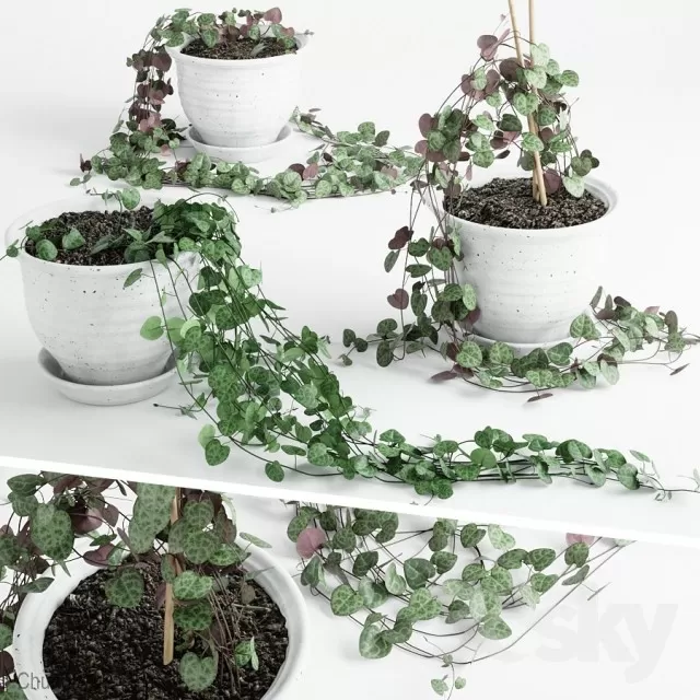 DECOR HELPER – PLANT – FLOOR 3D MODELS – 199