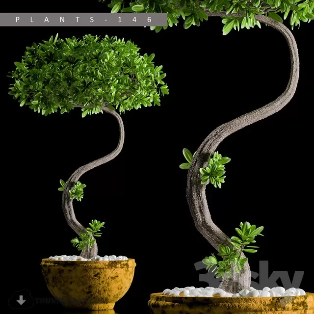 DECOR HELPER – PLANT – FLOOR 3D MODELS – 21