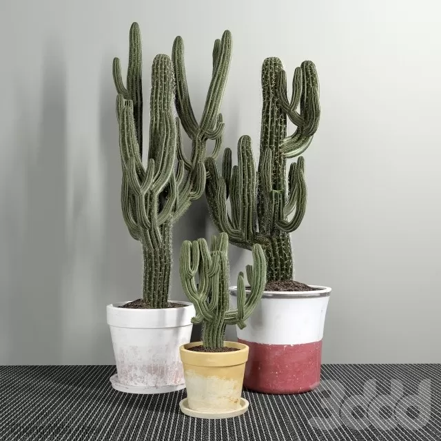 DECOR HELPER – PLANT – FLOOR 3D MODELS – 201