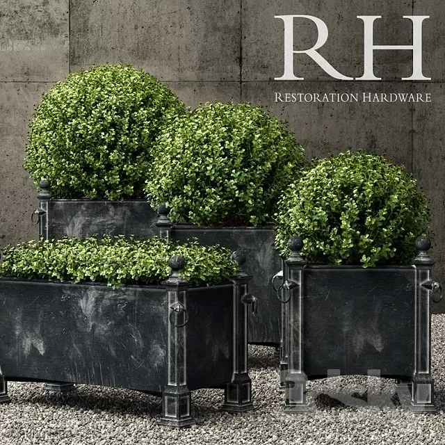 DECOR HELPER – PLANT – FLOOR 3D MODELS – 202