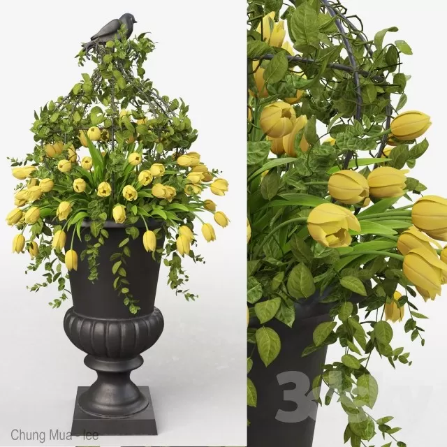 DECOR HELPER – PLANT – FLOOR 3D MODELS – 204