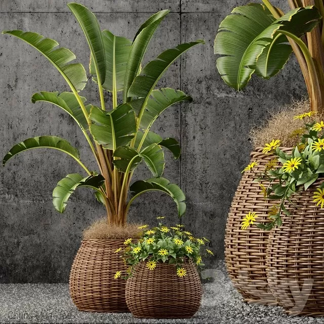 DECOR HELPER – PLANT – FLOOR 3D MODELS – 207