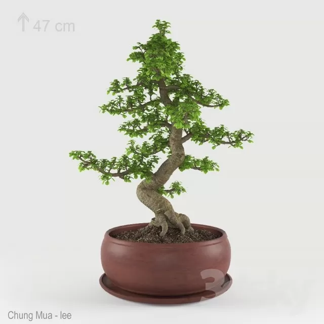 DECOR HELPER – PLANT – FLOOR 3D MODELS – 208