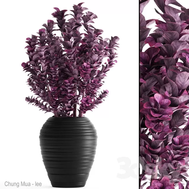 DECOR HELPER – PLANT – FLOOR 3D MODELS – 216